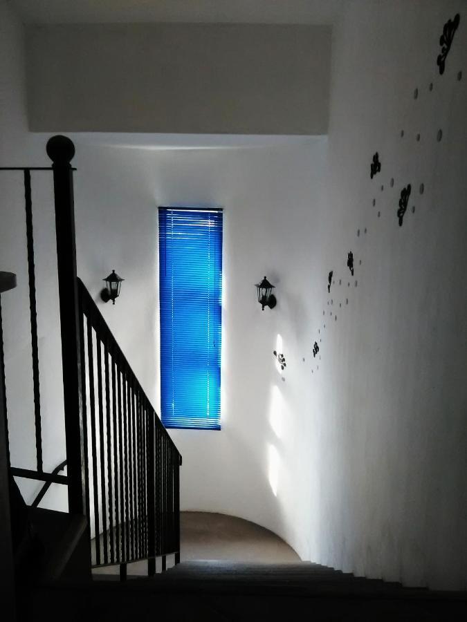 Apartma Dragicevic Makarska
